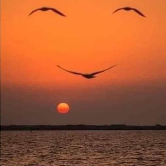 High Mainteance set from Tyler Candles - Picture 10 of 10